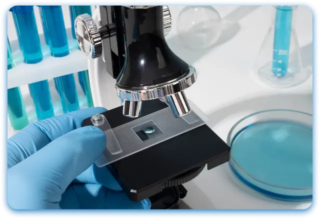 BioV’s Cellular Program